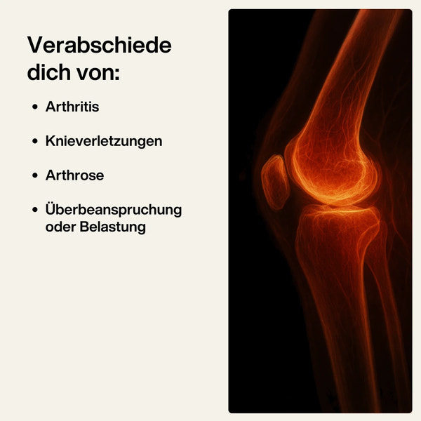 Energy Sleeves – Bandage für Knie und Beine